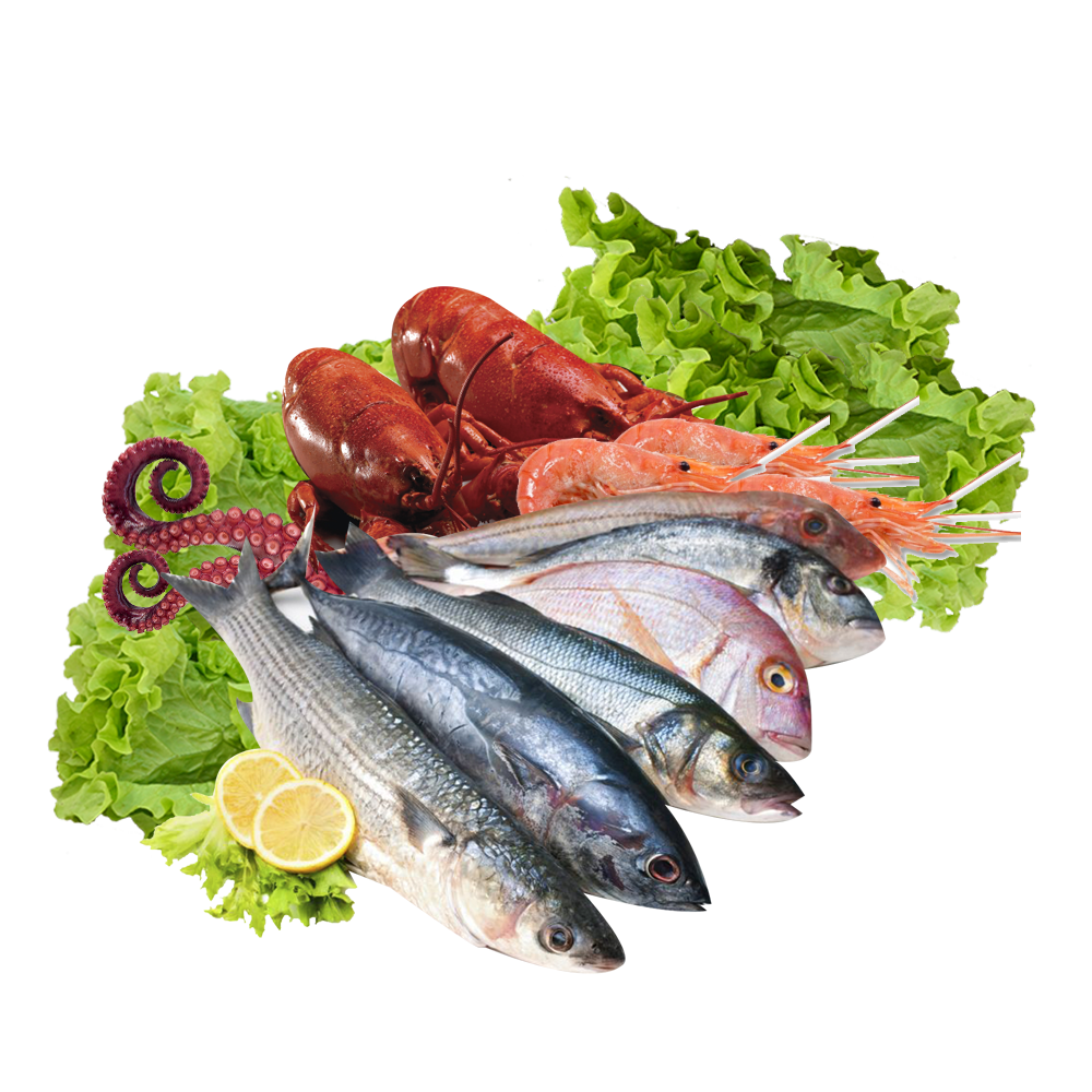 fish